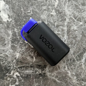 Vozol Gear 10000 Forest Berry Storm 💨 ‣ Only 19€👍